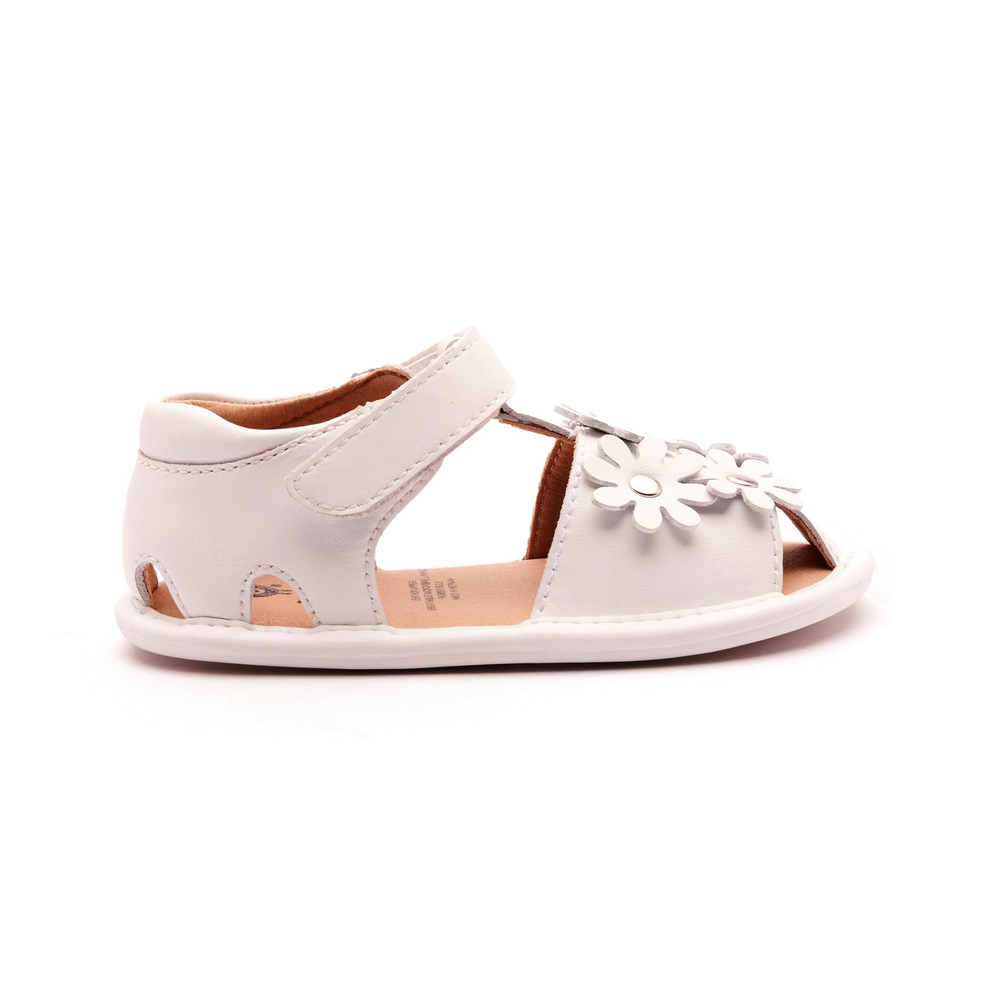 Old Soles Wild Flower 3017