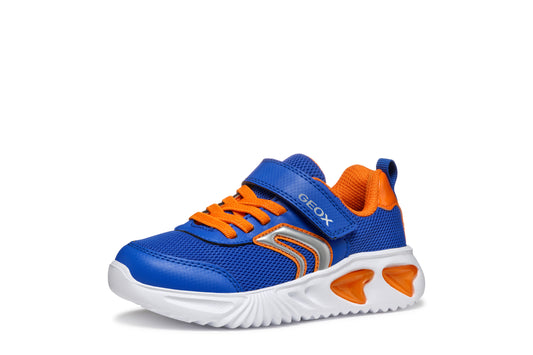 Geox J45DZC Assister- Royal/Orange & Navy/Red
