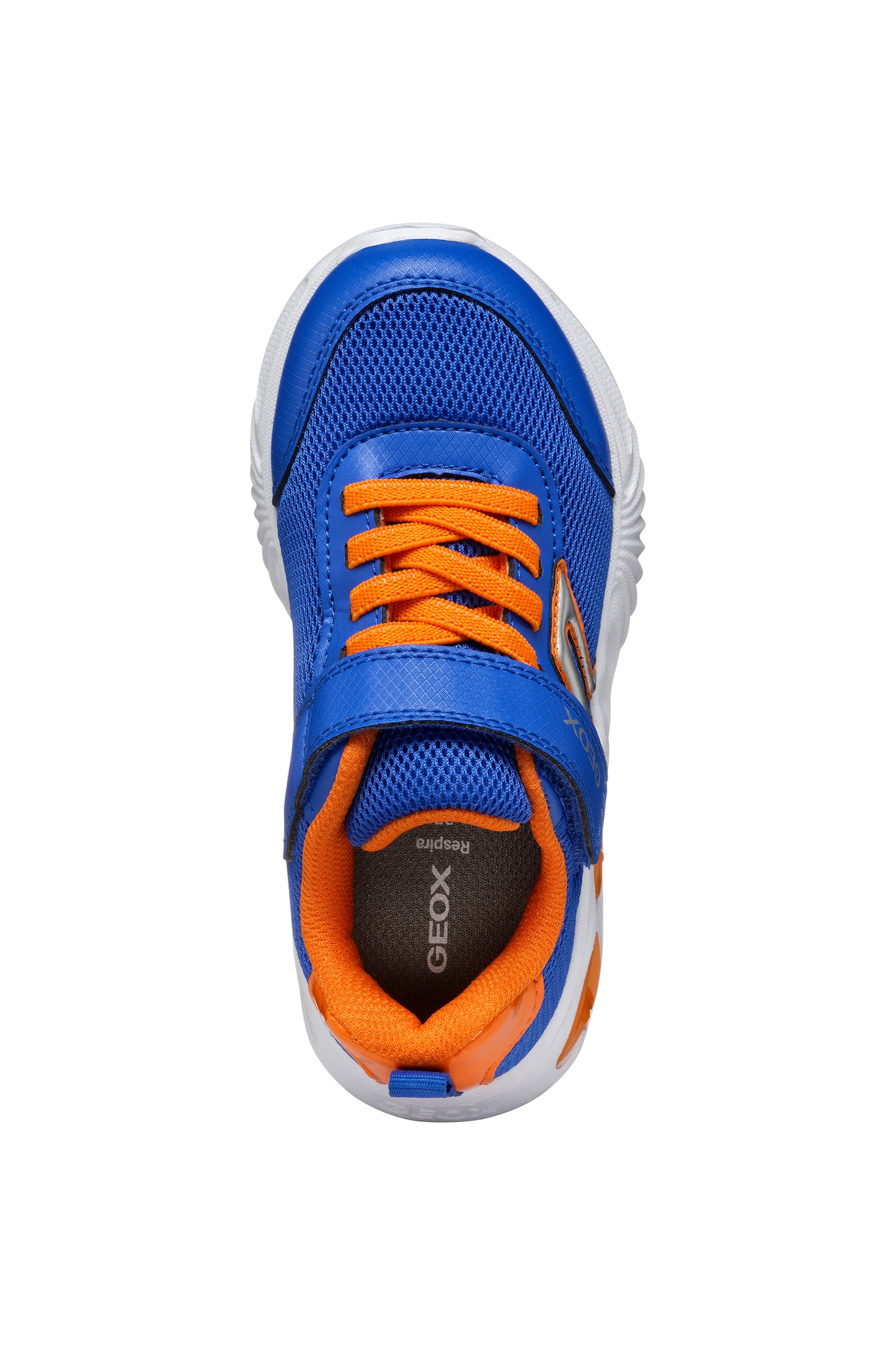 Geox J45DZC Assister- Royal/Orange & Navy/Red