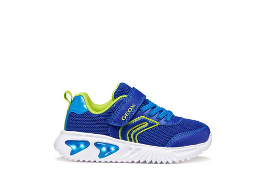 Geox J45DZC Assister- Royal/Orange; Navy/Red; Royal/Lime & Navy/Orange
